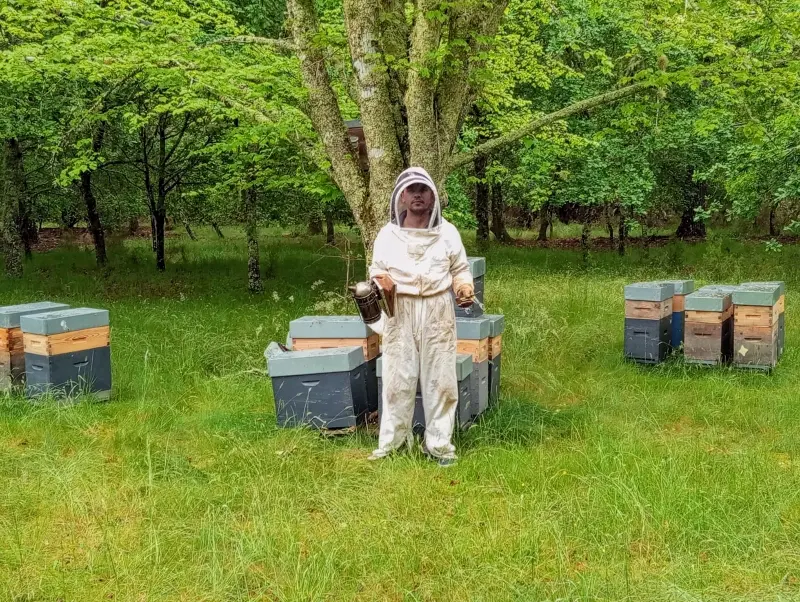 abeille nature